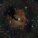 Nébuleuse de la Mouette IC 2177