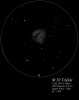 M 20 Nébuleuse Trifide dans le Sagittaire (au T305)